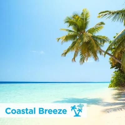 ActiveAire® Urinal Screen Coastal Breeze Blue Plastic Low Splash Deodorizer 12/Case