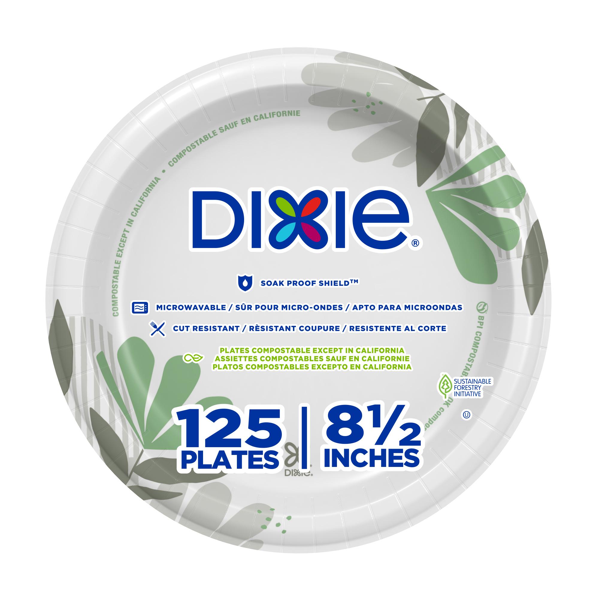 Dixie® Plate 8.5 IN Paper Multicolor Pathways Round Medium Weight 1000/Case