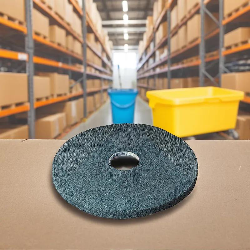Victoria Bay Cleaning Pad 16 IN Blue 5/Case