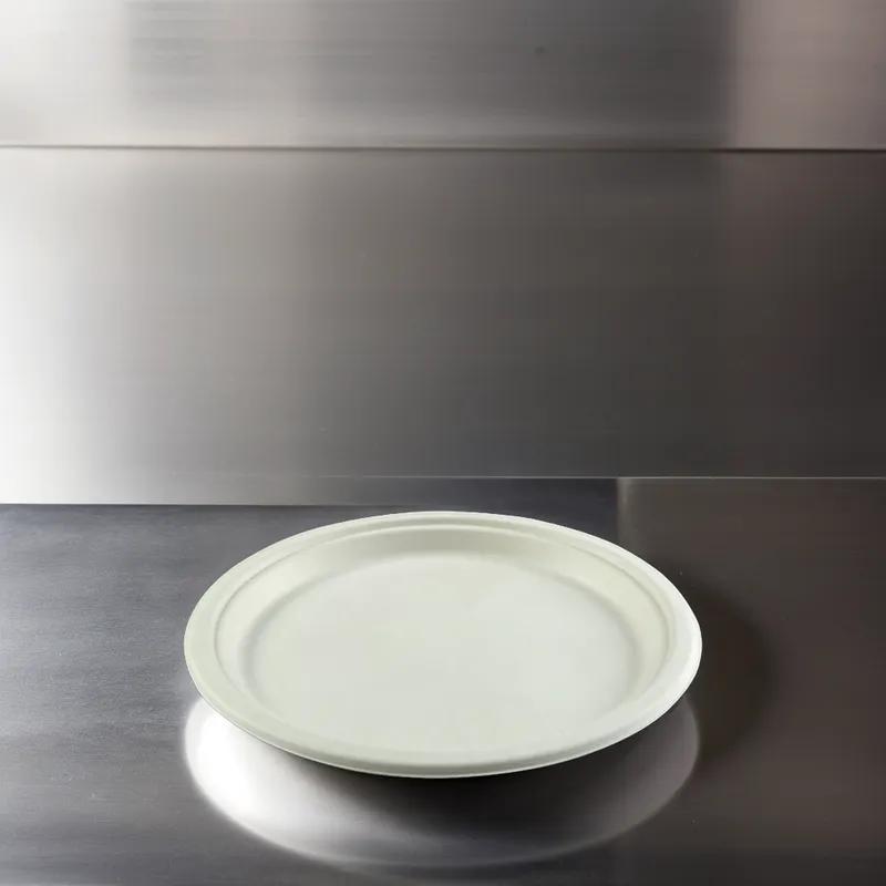 Plate 10 IN Molded Fiber White Round 500/Case