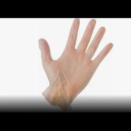 Victoria Bay Gloves XL Clear Vinyl Disposable Powder-Free 100 Count/Pack 10 Packs/Case 1000 Count/Case