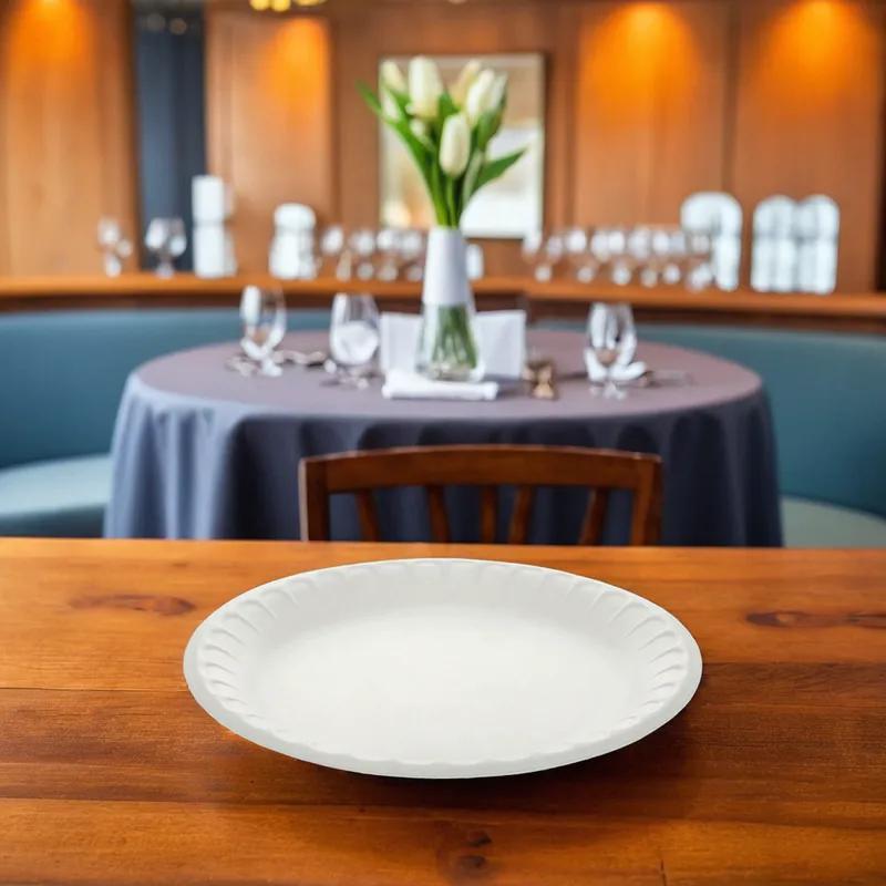 Victoria Bay Plate 9 IN Polystyrene Foam Round Retail 500/Case