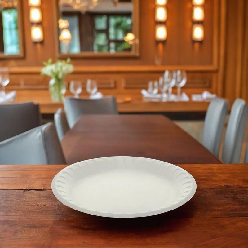 Victoria Bay Plate 9 IN Polystyrene Foam Round Retail 500/Case