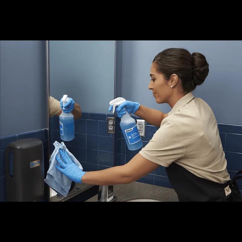 Glass Cleaner 2 L Multi Surface Liquid 2/Case