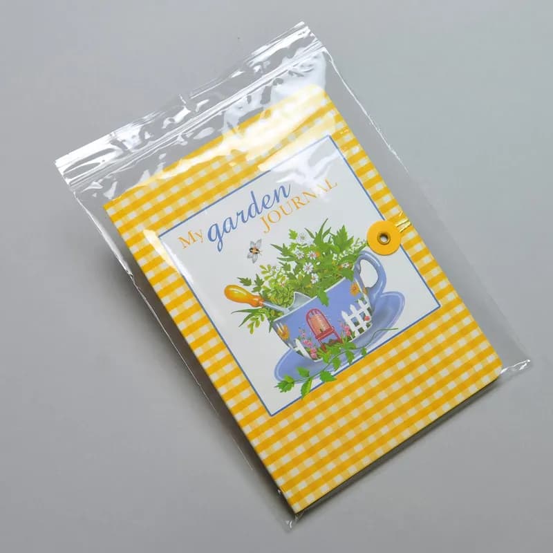 Bag 4X6 IN Polypropylene (PP) 2MIL Clear With Seal Top Closure Hang Hole 1000/Case