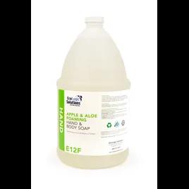 Hand Soap Foam 1 GAL 2/Case
