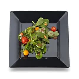 Plate 8 IN Black Square 120/Case