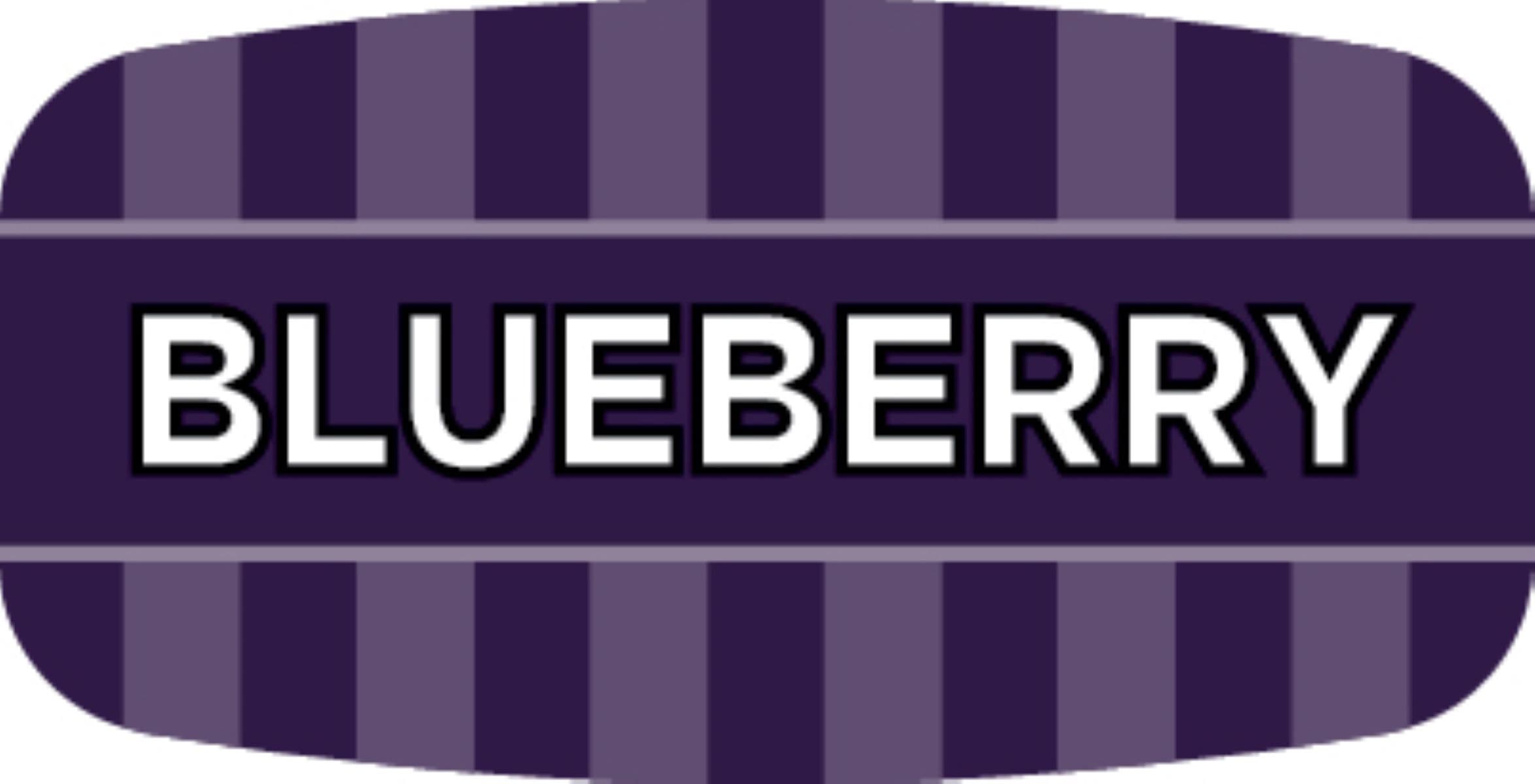 Blueberry Bakery Flavor Label 0.625X1.25 IN Purple Oval 4 Color Process UV 1000 Count/Roll 50 Rolls/Case