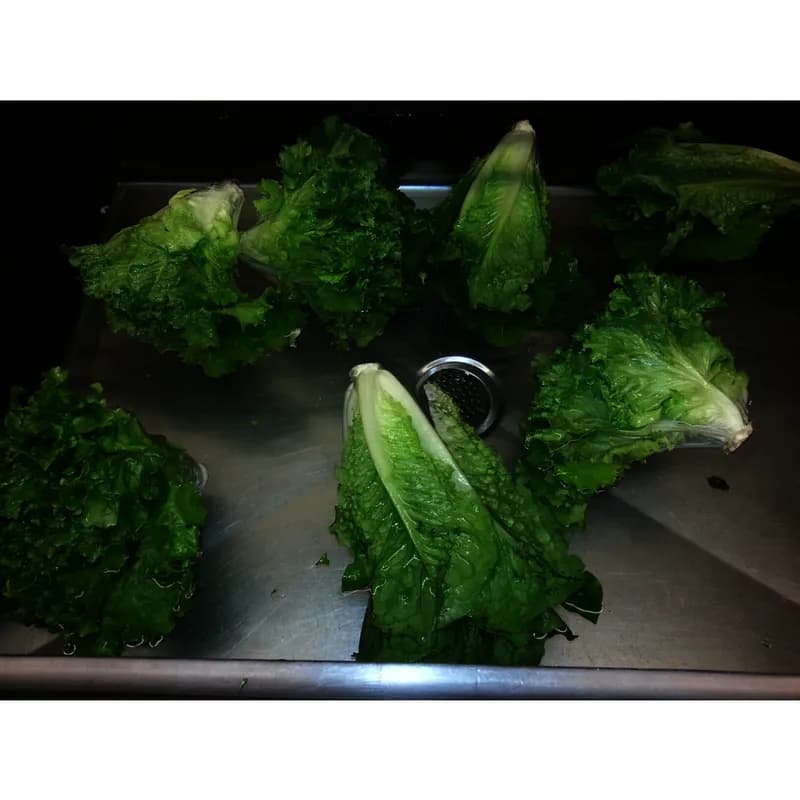 Fruit & Vegetable Treatment 2.5 GAL Antimicrobial 1/Case