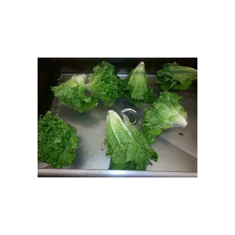 Fruit & Vegetable Treatment 2.5 GAL Antimicrobial 1/Case