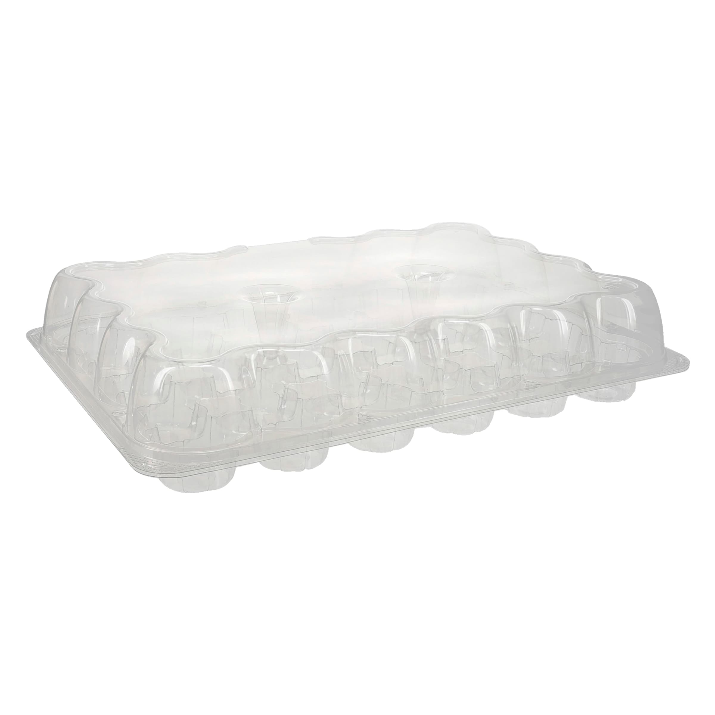 Cupcake Container & Lid Combo With Dome Lid 9.725X6.875 IN 24 Compartment PET Clear Rectangle 50/Case