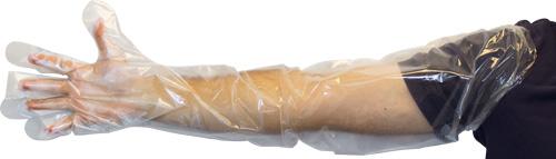 General Purpose Gloves Medium (MED) 35 IN Clear PET Powder-Free Embossed Grip 100 Count/Pack 10 Packs/Case