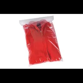 Bag 10X12 IN LLDPE 2MIL Clear With Zip Seal Closure Reclosable 1000/Case