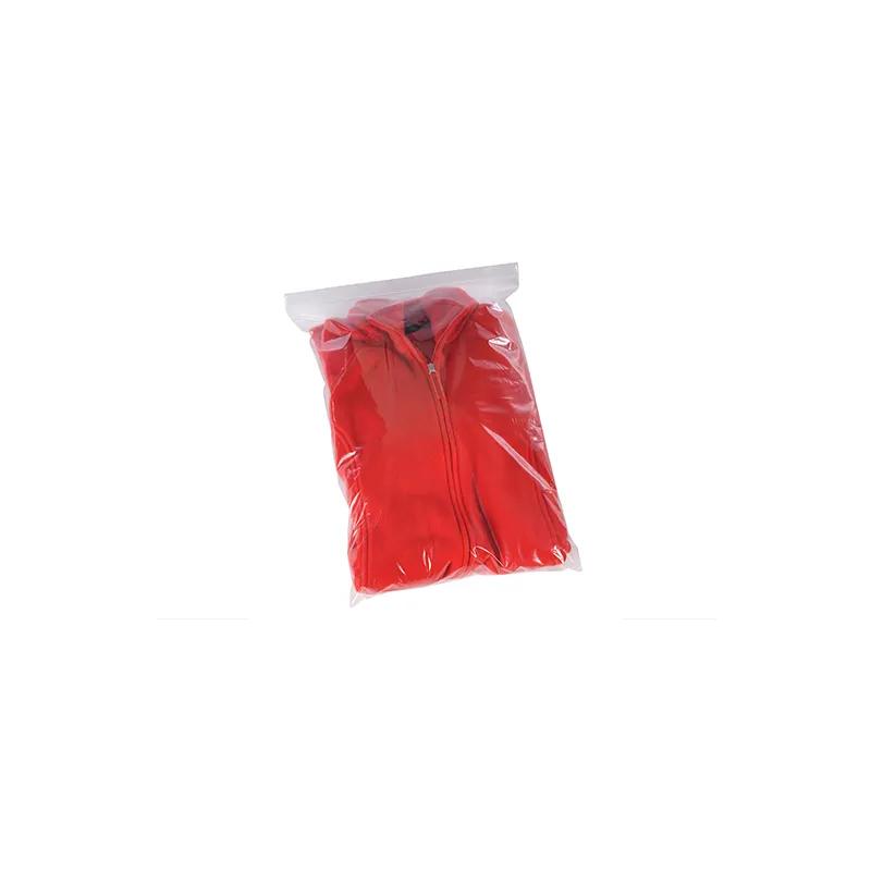 Bag 10X12 IN LLDPE 2MIL Clear With Zip Seal Closure Reclosable 1000/Case