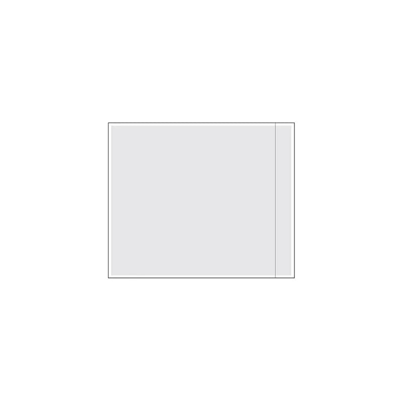 Packing List Envelope 10X12 IN 500/Case