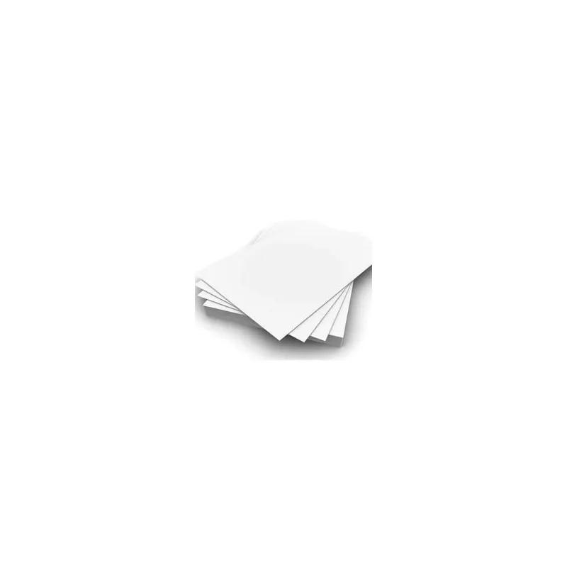 Solid Bleached Sulfate (SBS) Board 15.25X19.25 IN White 1/Each