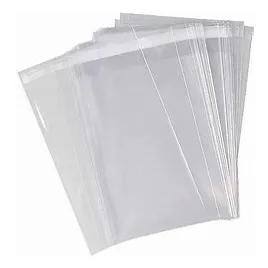 Bag 6X9 IN PP 1.6MIL Clear With Lip & Tape Closure 1000/Case