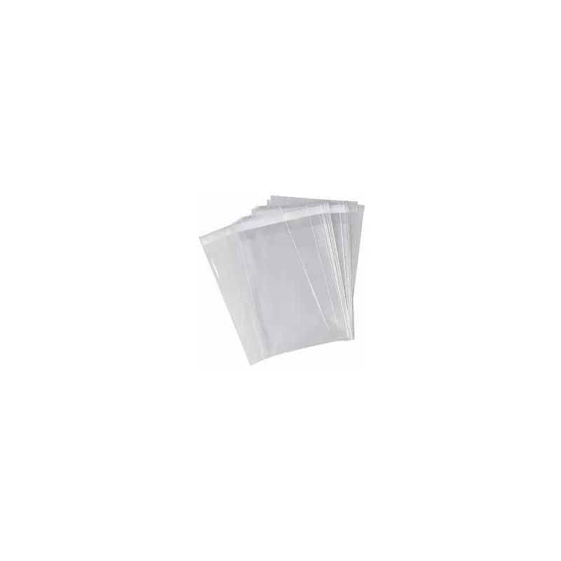 Bag 6X9 IN PP 1.6MIL Clear With Lip & Tape Closure 1000/Case