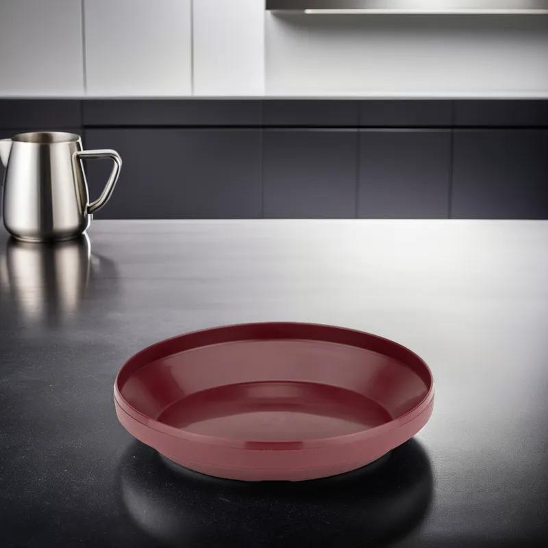 Dinex® Pellet Underliner 9.50X1.88 IN Plastic Cranberry High Heat 1/Case