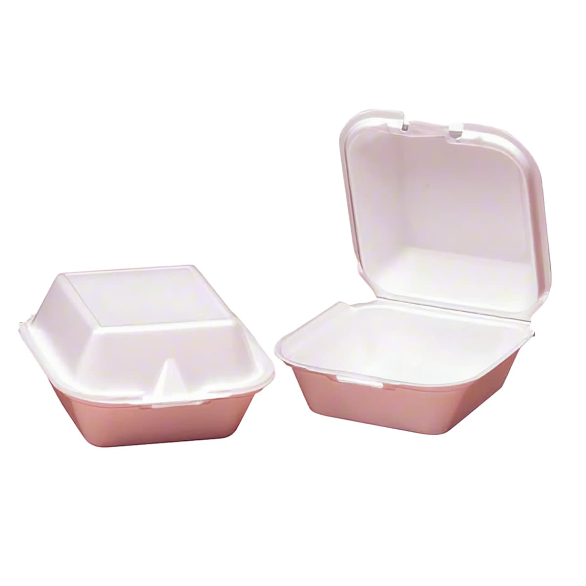 Snap-it Sandwich Take-Out Container Hinged 5.81X5.69X3.13 IN Foam White Square 125 Count/Pack 4 Packs/Case
