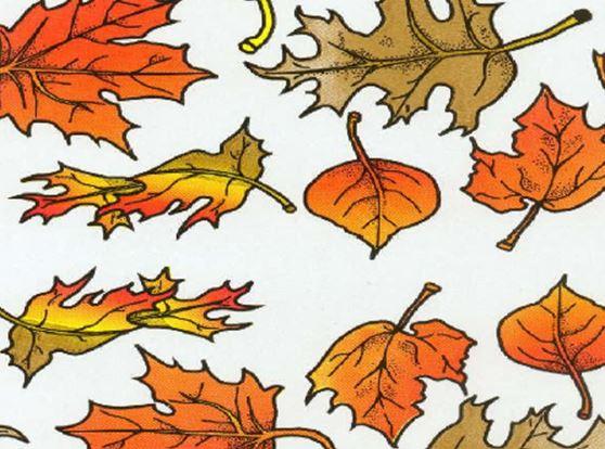 Multi-Purpose Roll 40IN X100FT Cellophane Multicolor Leaf Design 1/Roll