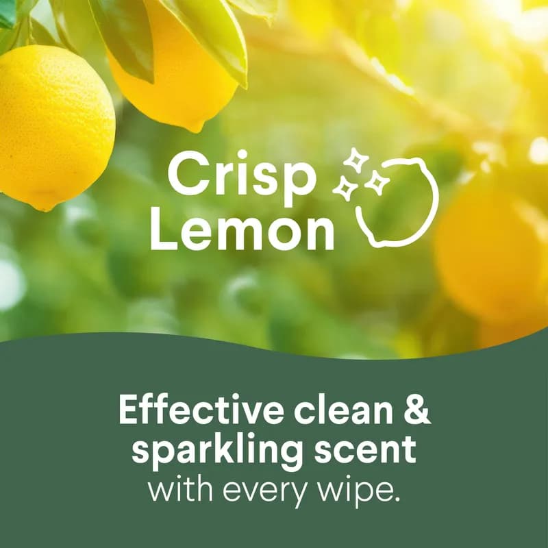 Clorox® Citrus Fresh One-Step Disinfectant Multi Surface Wipe Bleach-Free Antibacterial 35 Count/Pack 12 Packs/Case