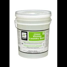 Clothesline Fresh® Xtreme® 17 Mild Scent Laundry Sour 5 GAL Acidic 1/Pail