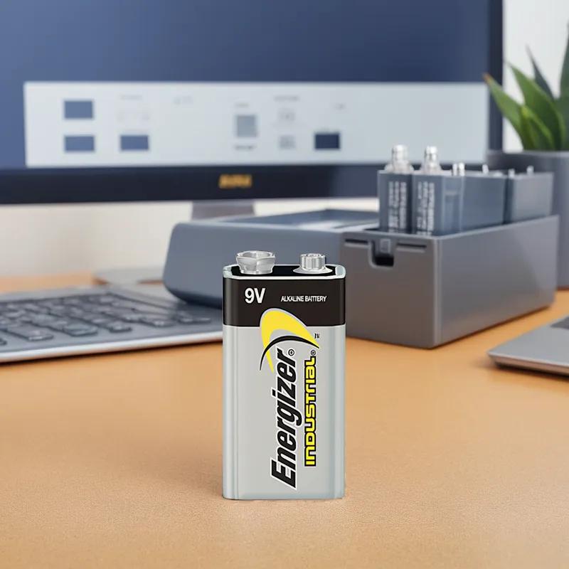 Battery 9 Volt Alkaline 12/Pack