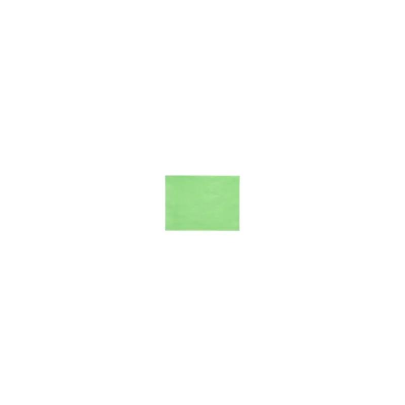 Steak & Butcher Paper Sheets 10X30 IN 40LB Green 1/Case