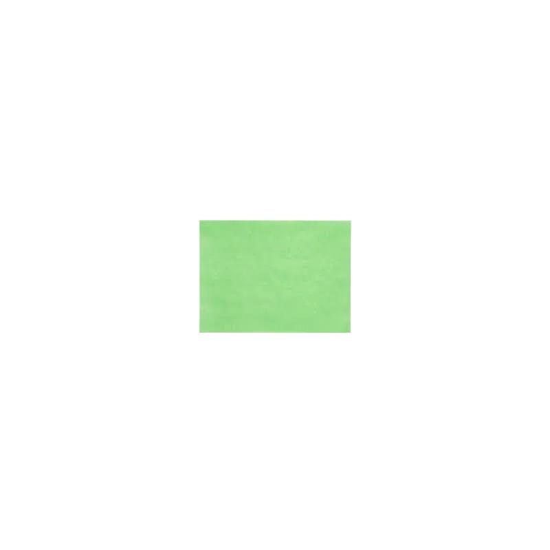 Steak & Butcher Paper Sheets 9X12 IN 40LB Green 1000 Count/Pack 1 Packs/Case