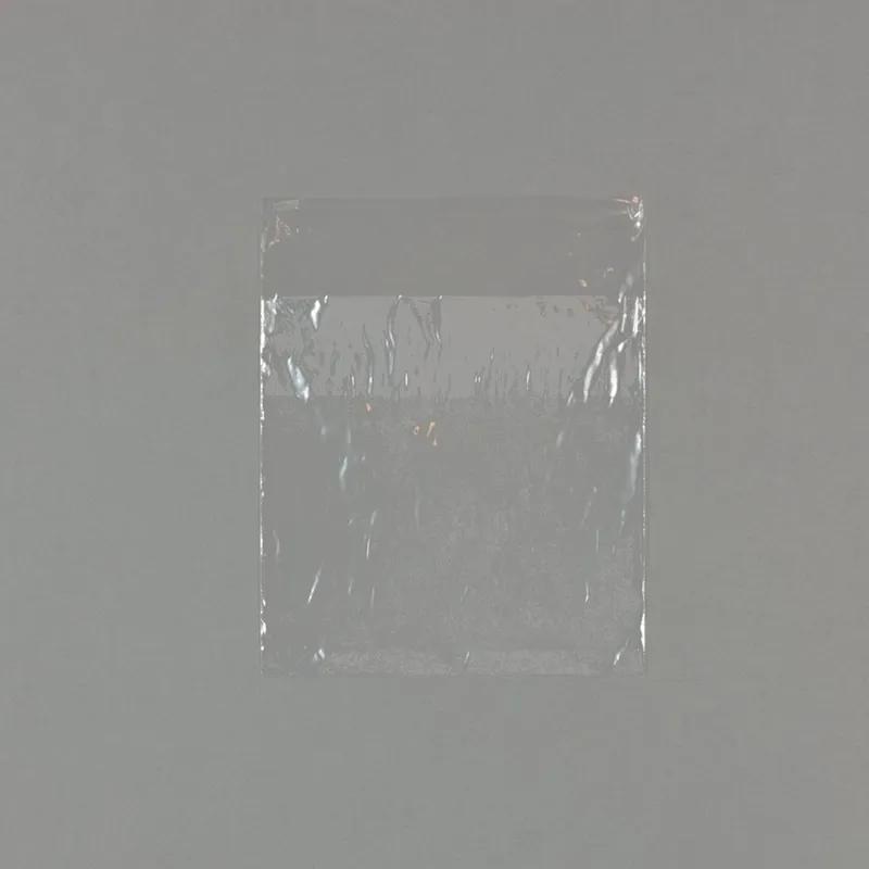 Sandwich Bag 6.5X7 IN LDPE With Flip Top Closure 2000 Count/Pack 1 Packs/Case 2000 Count/Case