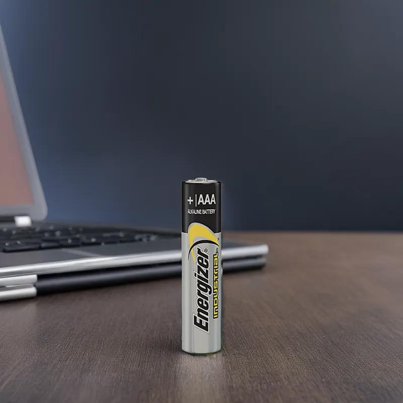 Battery AAA Alkaline 24/Pack