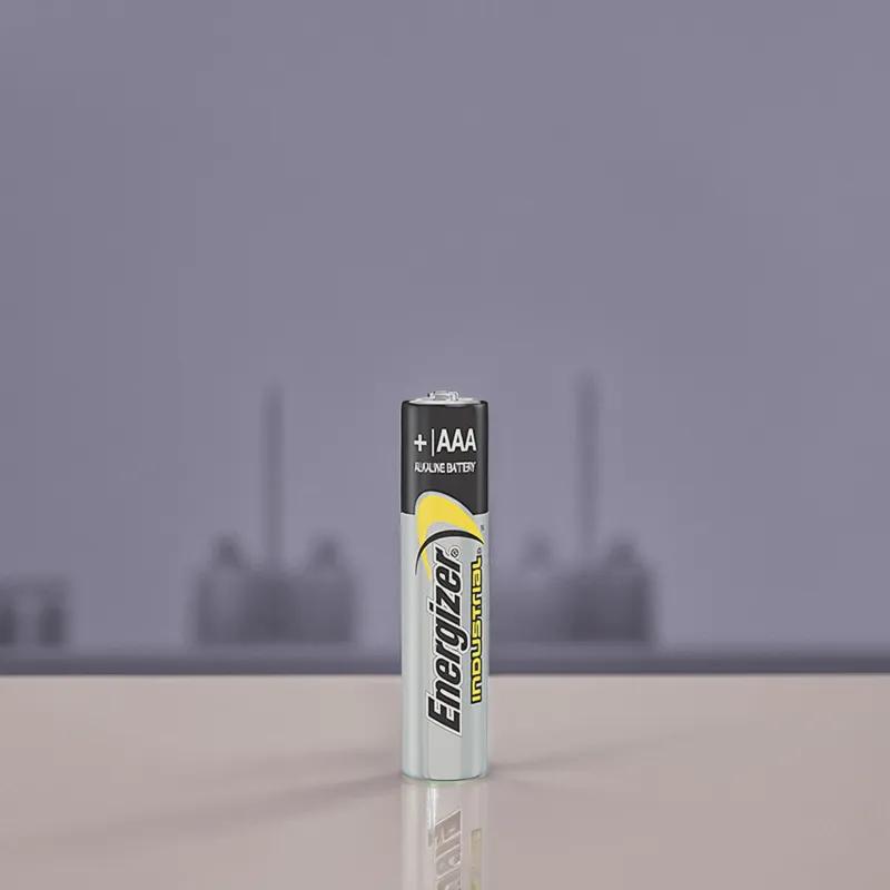 Battery AAA Alkaline 24/Pack