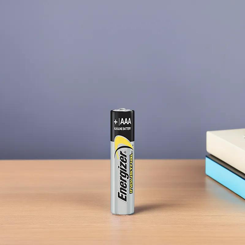 Battery AAA Alkaline 24/Pack