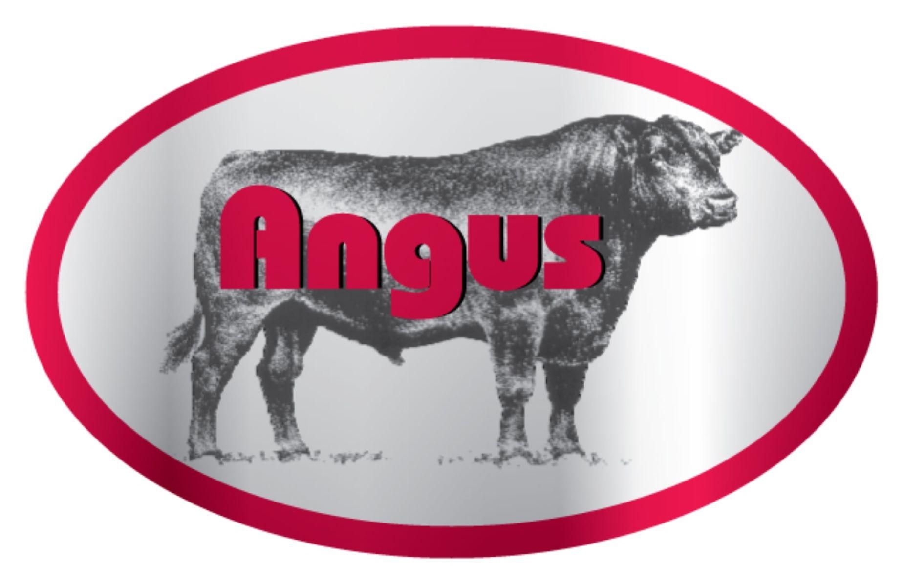 Angus Meat Label 1.25X2 IN Silver Red Black With Steer Oval 500 Count/Roll 20 Rolls/Case 10000 Count/Case