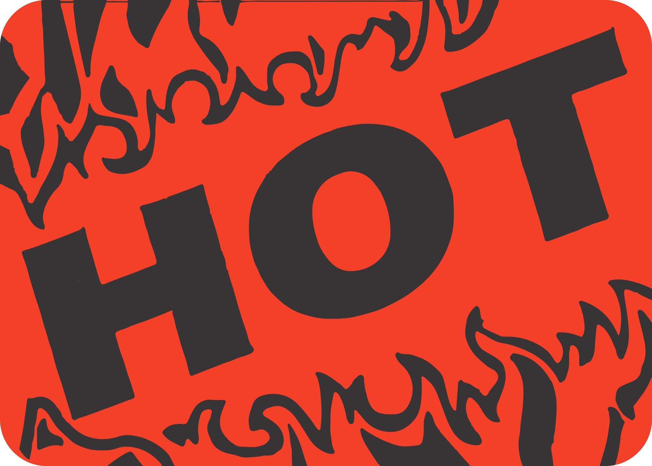 Hot Meat Grilling Label 1.75X1.25 IN Black Fluorescent Red With Flames 1000 Count/Roll 20 Rolls/Case 20000 Count/Case