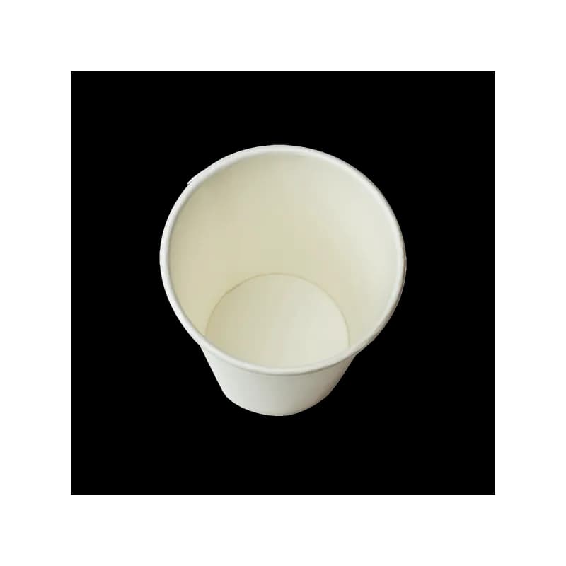 Karat® Cold Cup 12 OZ Double Wall Poly-Coated Paper White 1000/Case
