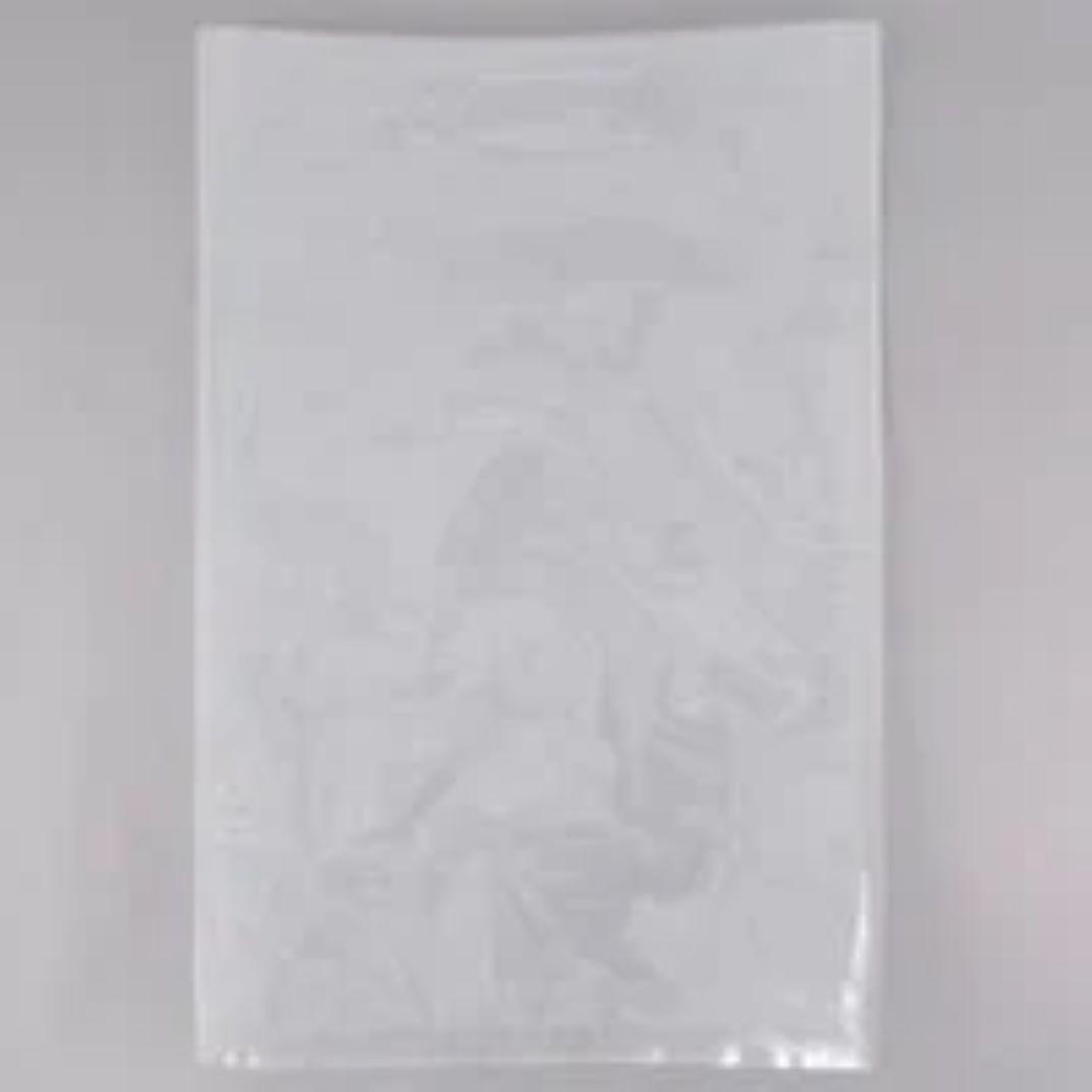 Pouch 12X18 IN Coextruded Plastic 3MIL Clear Vacuum 500/Case