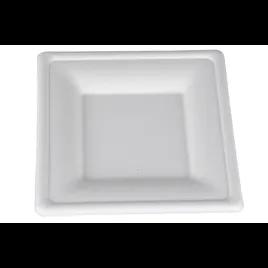 ChampWare Plate 8X8 IN Pulp Fiber White Square 500/Case