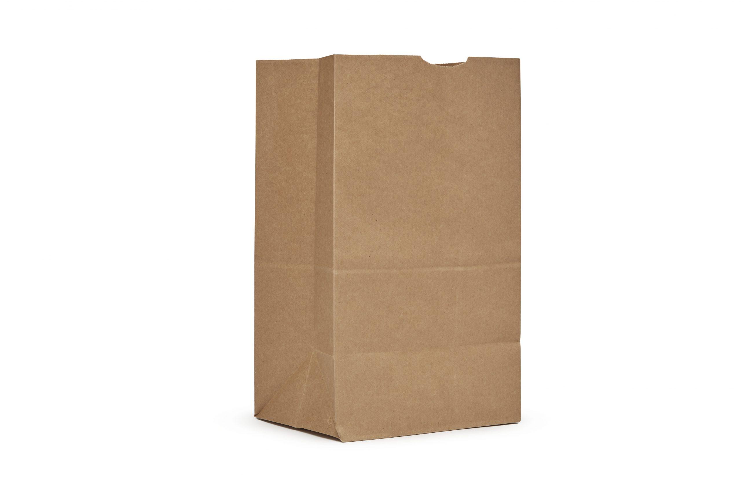 Grocery Bag Kraft Paper 25# Natural Squat 500/Pack
