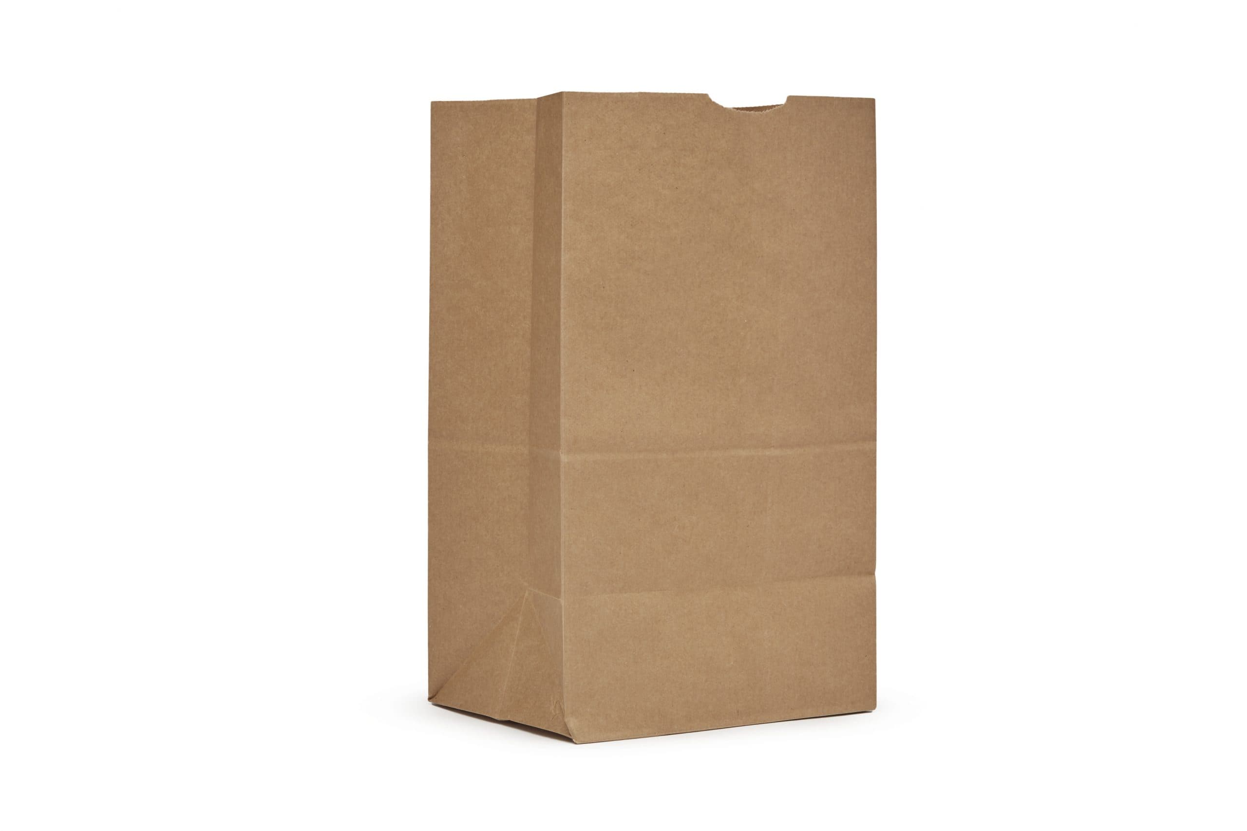 Grocery Bag Kraft Paper 25# Natural Squat 500/Pack