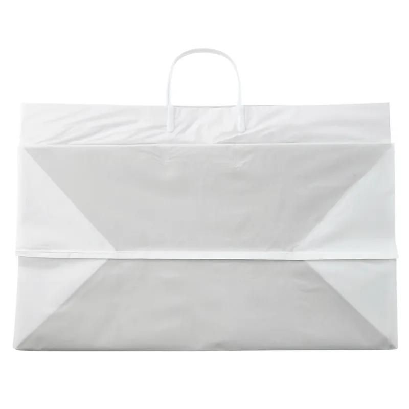 Bag 19X10X12X10 Plastic With Soft Loop Handle Closure Cardboard Bottom Cardboard Top 100/Case