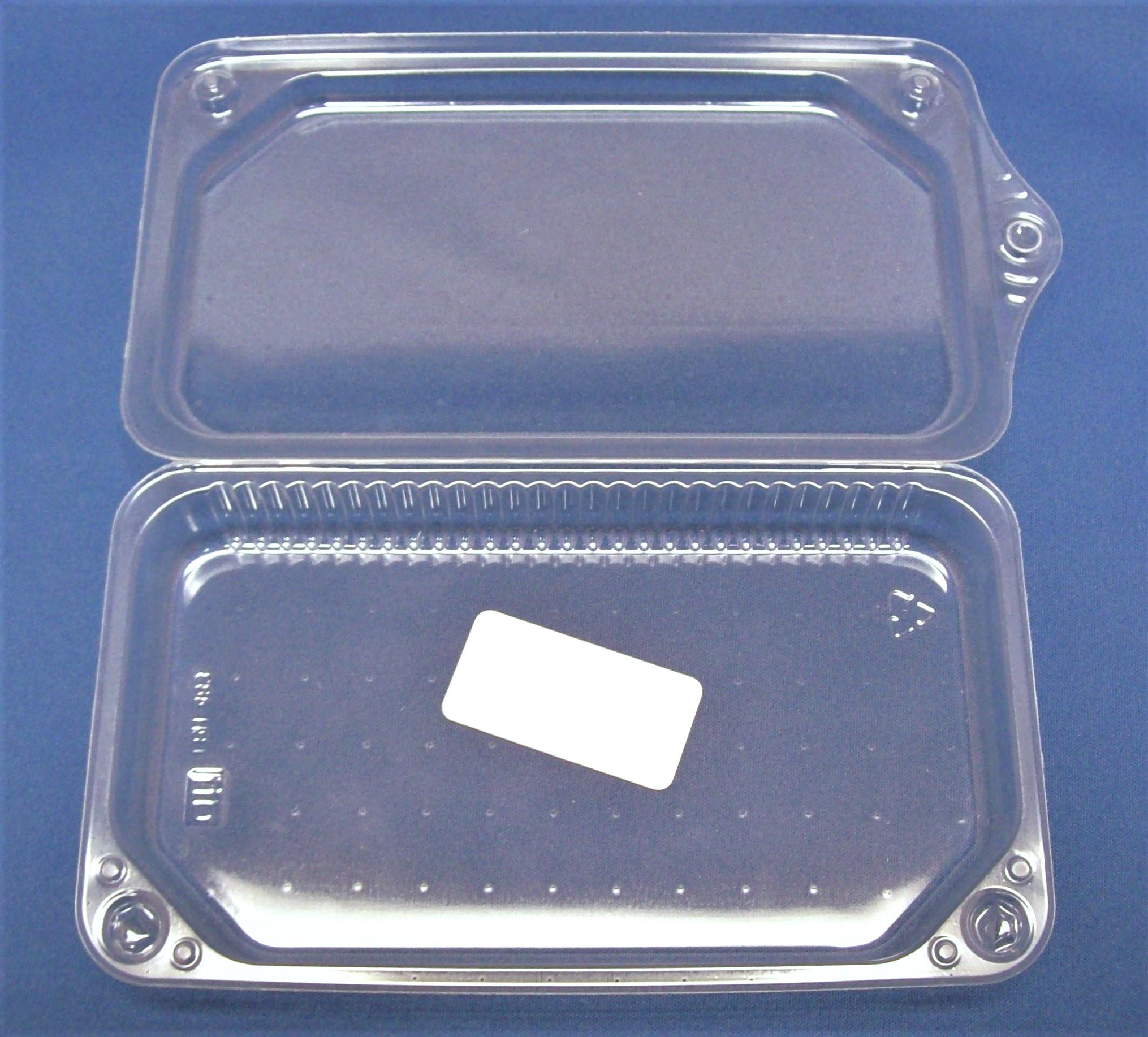 Take-Out Container Hinged Large (LG) Clear Hangable 1000/Case