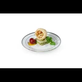Plate 9 IN Plastic White Silver Round 120/Case