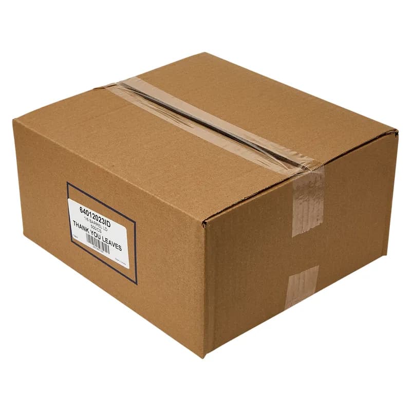 Shopper Bag 12X7X23 IN LDPE 0.9MIL Thank You 500/Case