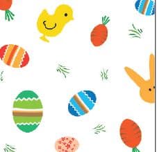 Sheet 40X100 IN Cellophane 1/Roll