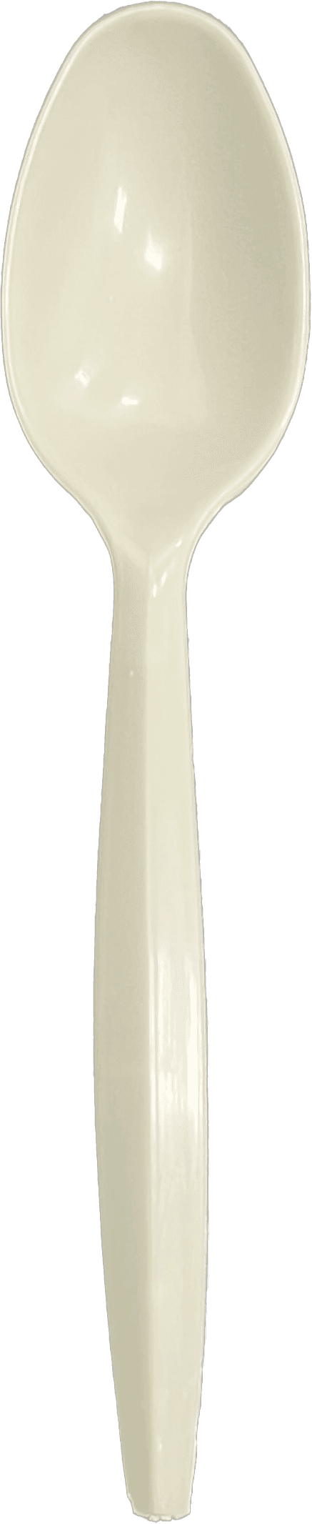 Victoria Bay Teaspoon PP Natural Medium Weight Bulk 1000/Case