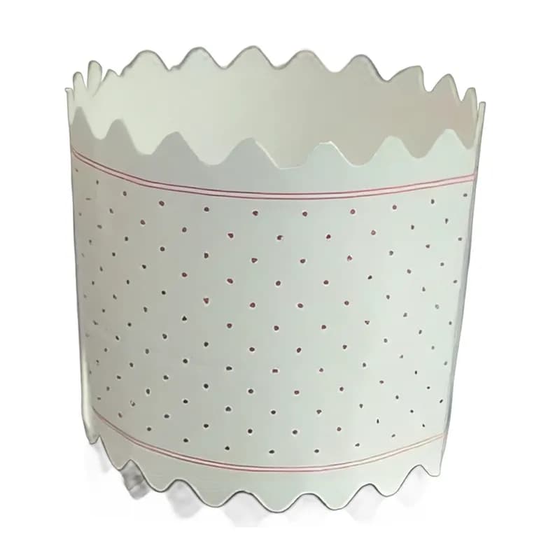 Charlotte Russe Cup 500/Case