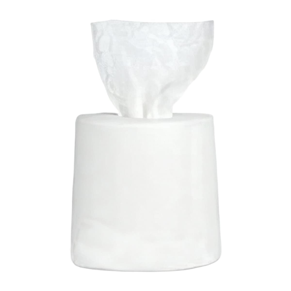 Cleaning Wipe Spunlace White Centerpull Smooth 333 Sheets/Roll 6 Rolls/Case