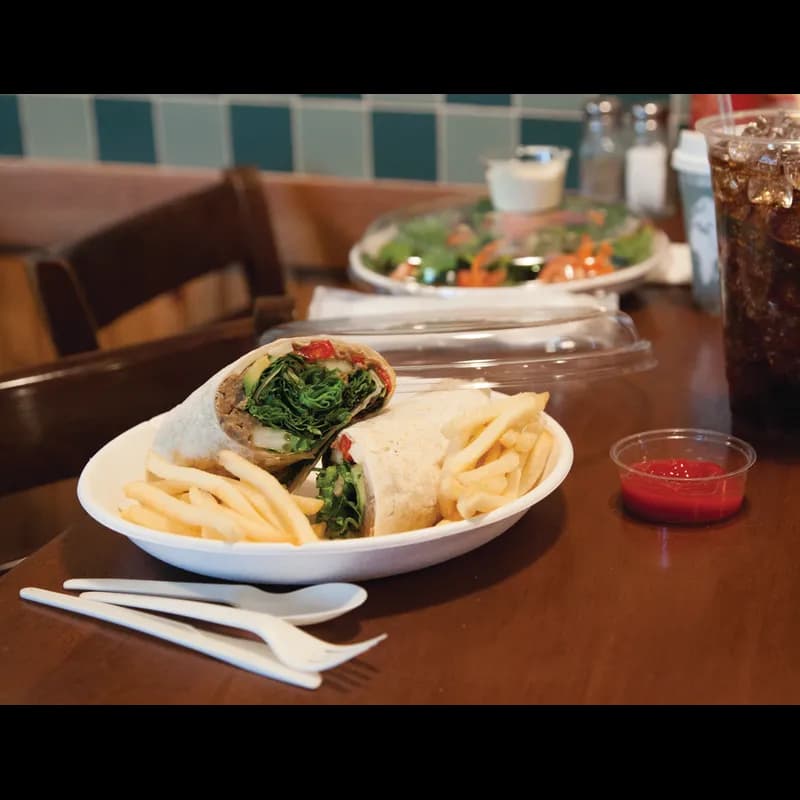 WorldView Take-Out Container Base 9 IN Sugarcane White Round Cut Resistant Grease Resistant 400/Case